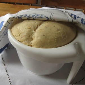 Kohonnut pullataikina