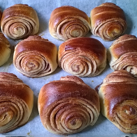 Korvapuustit pellillä