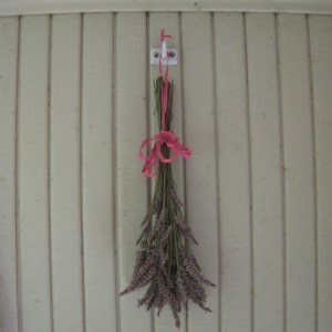 PhotoEditor-1443106753493