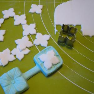 Hortensian kukka.JPG-789994547