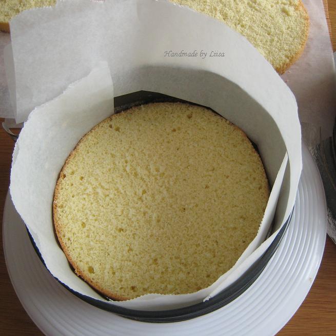 kakkupohja.JPG-1777182736