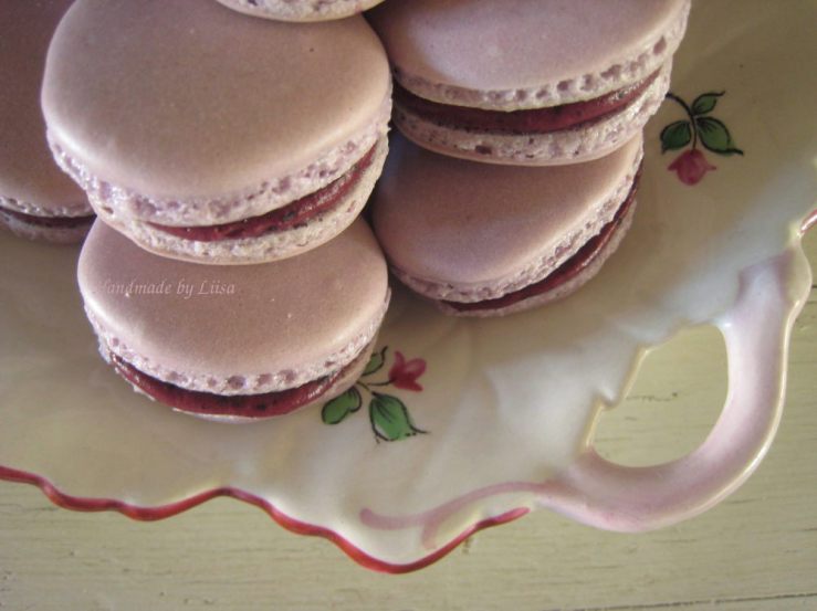 Mustikat läheltä_v1